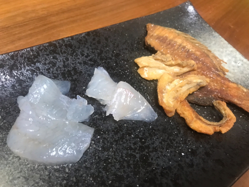 チャリコの釣果