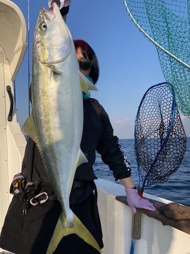 ヤズの釣果