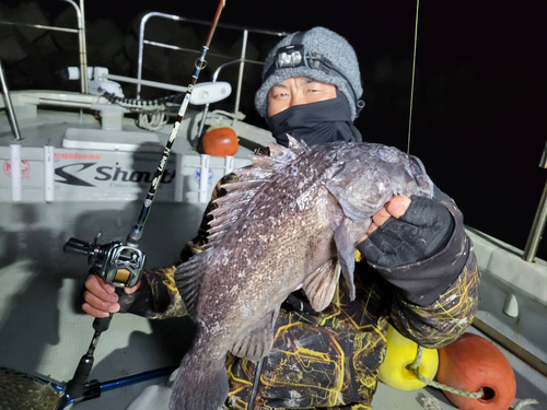 クロソイの釣果