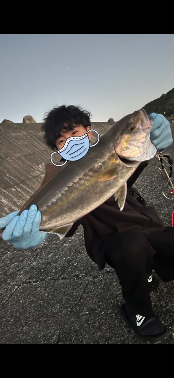 ショゴ