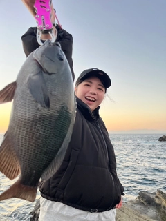 クチブトグレの釣果