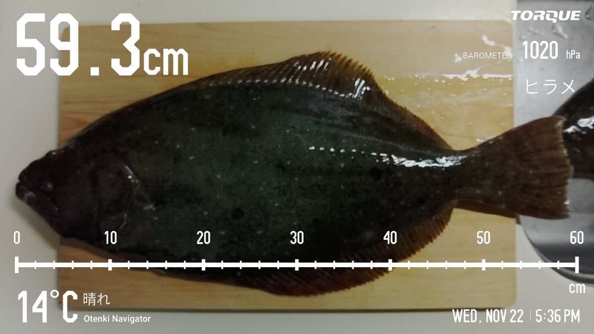 でっけさんの釣果 2枚目の画像