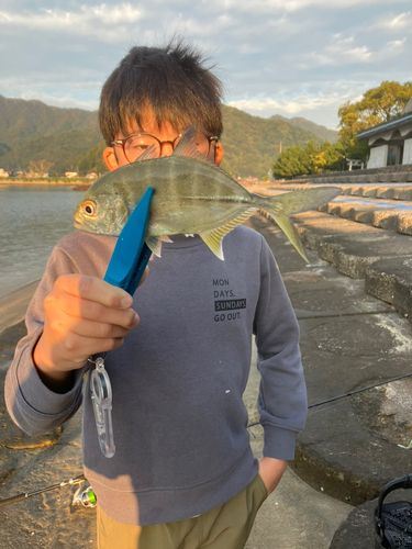 メッキの釣果