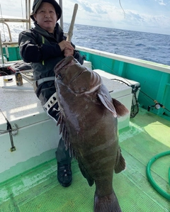 マハタの釣果