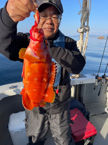 アカハタの釣果