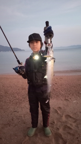 サゴシの釣果