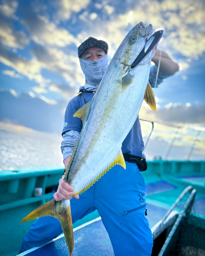 ヒラマサの釣果