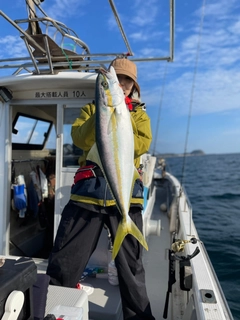 ヒラマサの釣果