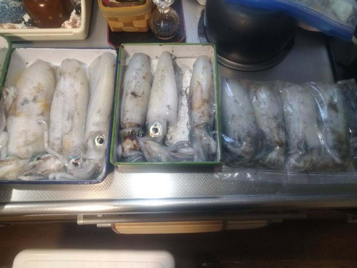 トムスカさんの釣果 3枚目の画像