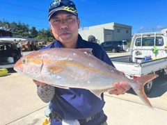 カンパチの釣果