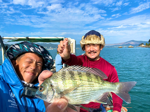 チヌの釣果