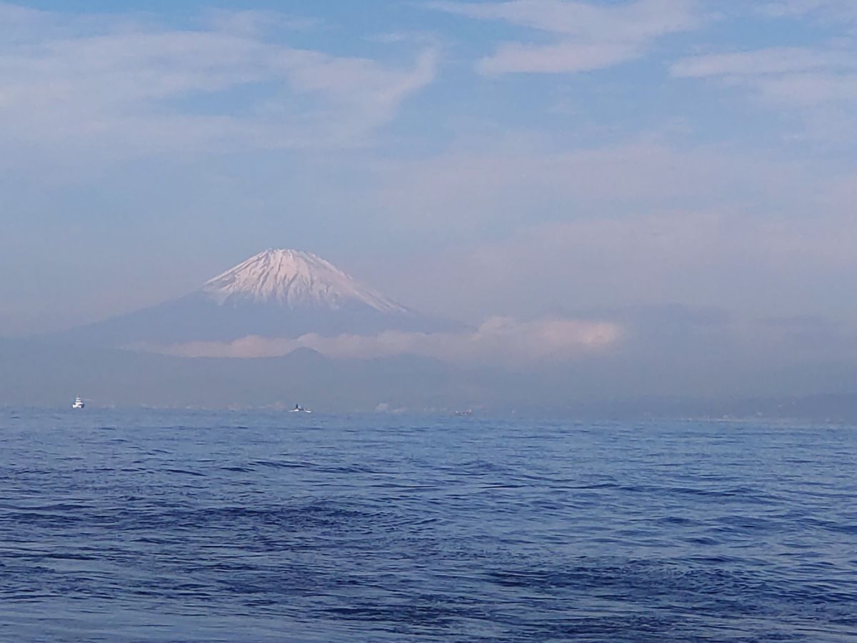 くっきーんさんの釣果 2枚目の画像