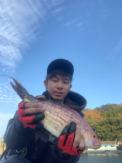 イトヨリダイの釣果