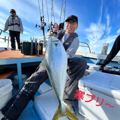 ブリの釣果