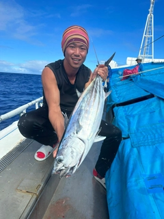 カツオの釣果