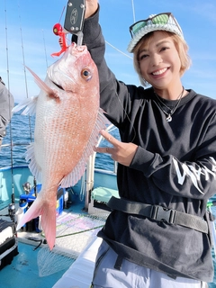 マダイの釣果