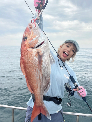 マダイの釣果