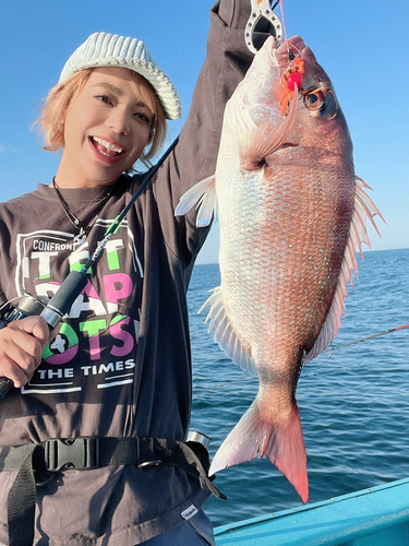 マダイの釣果