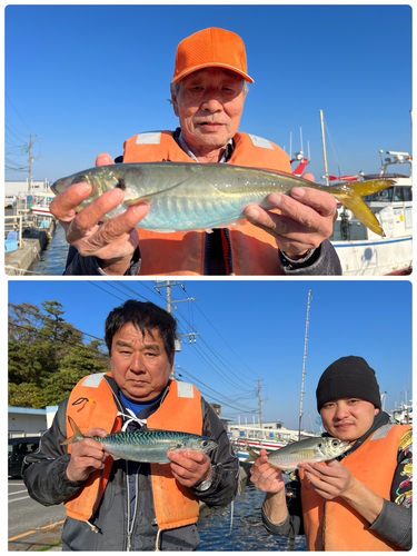 マアジの釣果