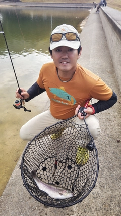 トラウトの釣果