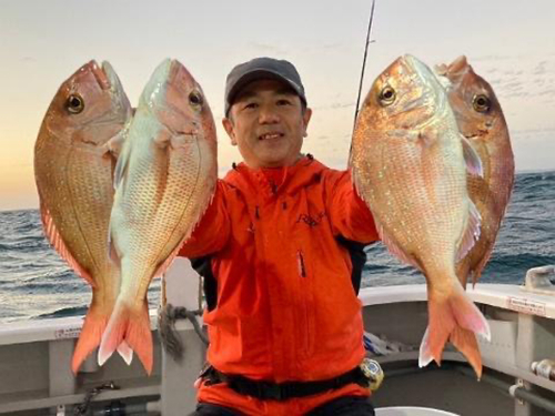 マダイの釣果