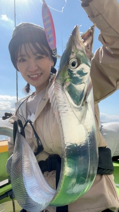 タチウオの釣果