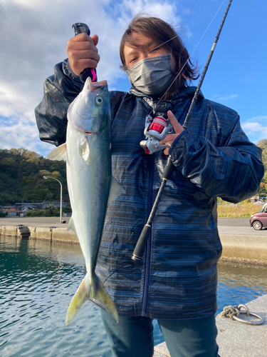 ヤズの釣果