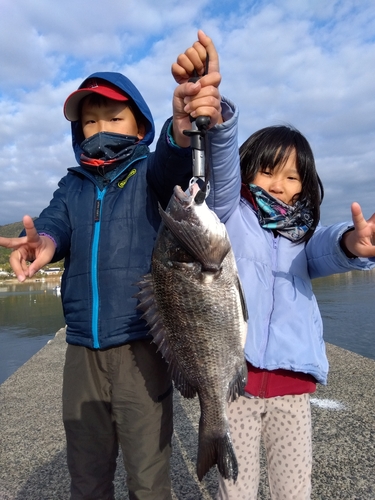 チヌの釣果