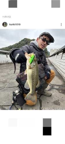 ラージマウスバスの釣果