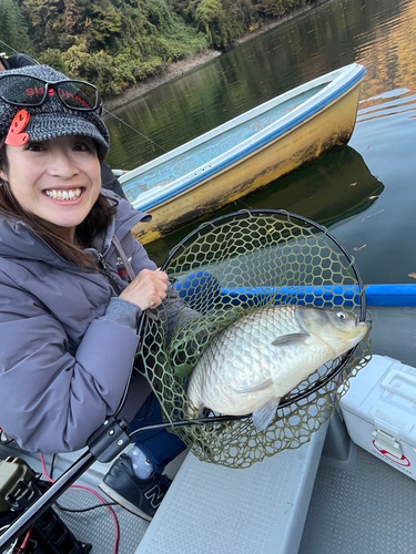 ヘラブナの釣果