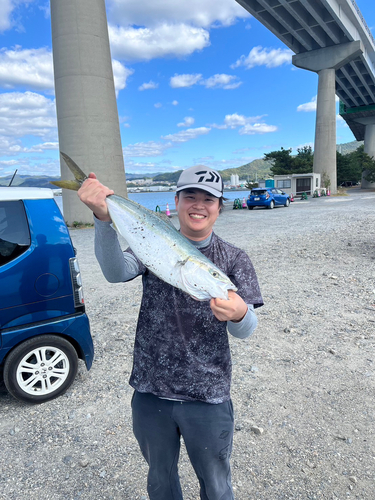 ハマチの釣果