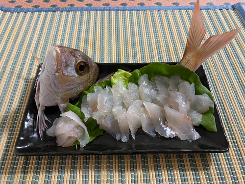 タイの釣果