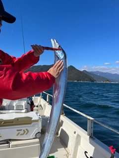 タチウオの釣果