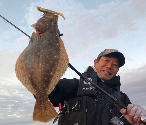 ヒラメの釣果