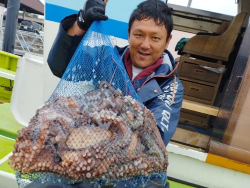 マダコの釣果