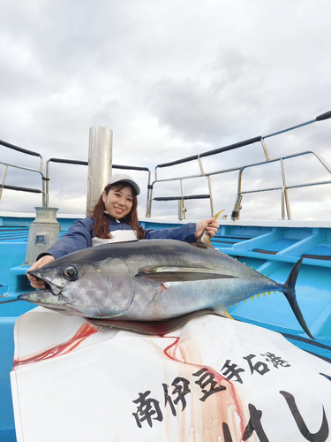 キハダマグロの釣果