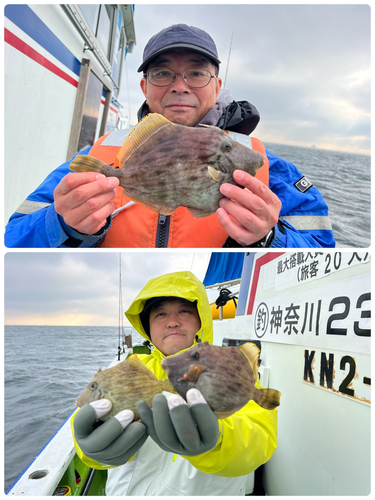 カワハギの釣果