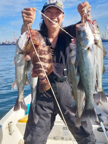 シーバスの釣果