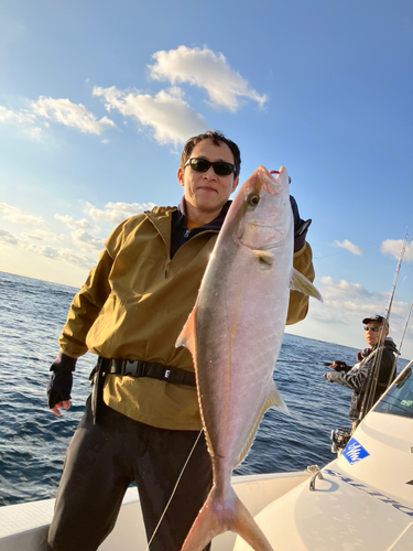 カンパチの釣果