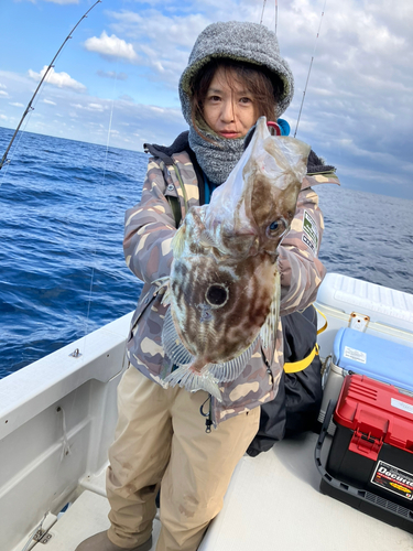 マトウダイの釣果