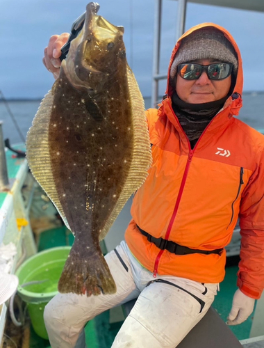 ヒラメの釣果