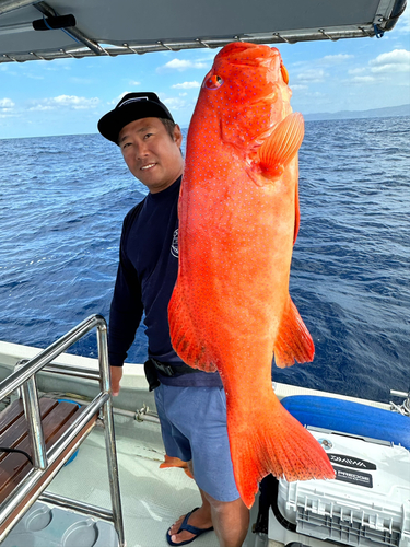 スジアラの釣果