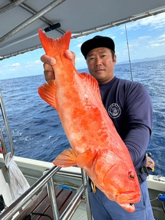 スジアラの釣果