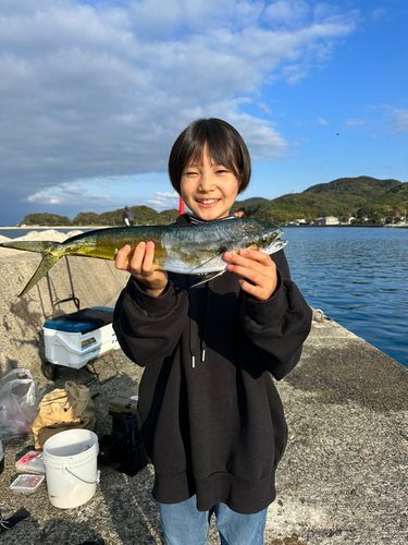 シイラの釣果