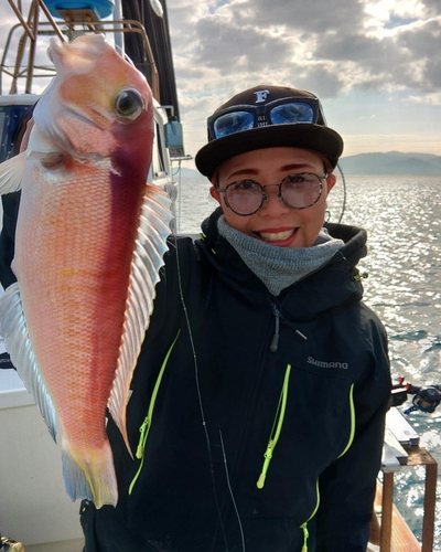 アマダイの釣果