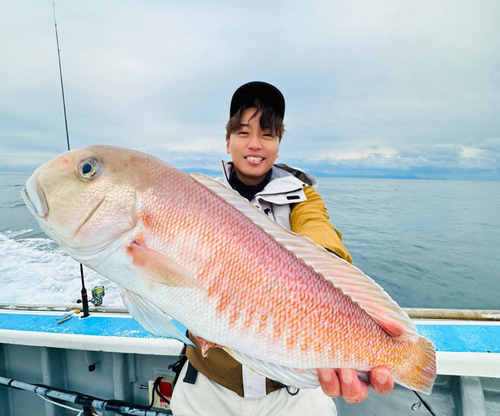 シロアマダイの釣果