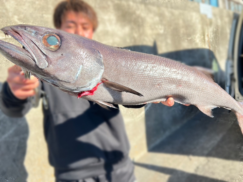 バラムツの釣果