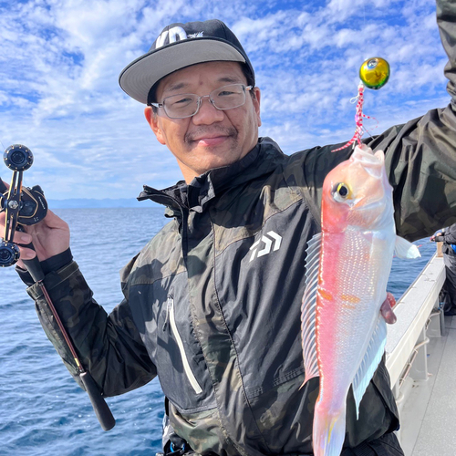 アマダイの釣果