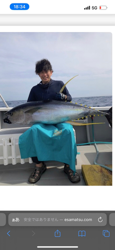 キハダマグロの釣果