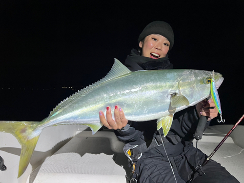 ブリの釣果